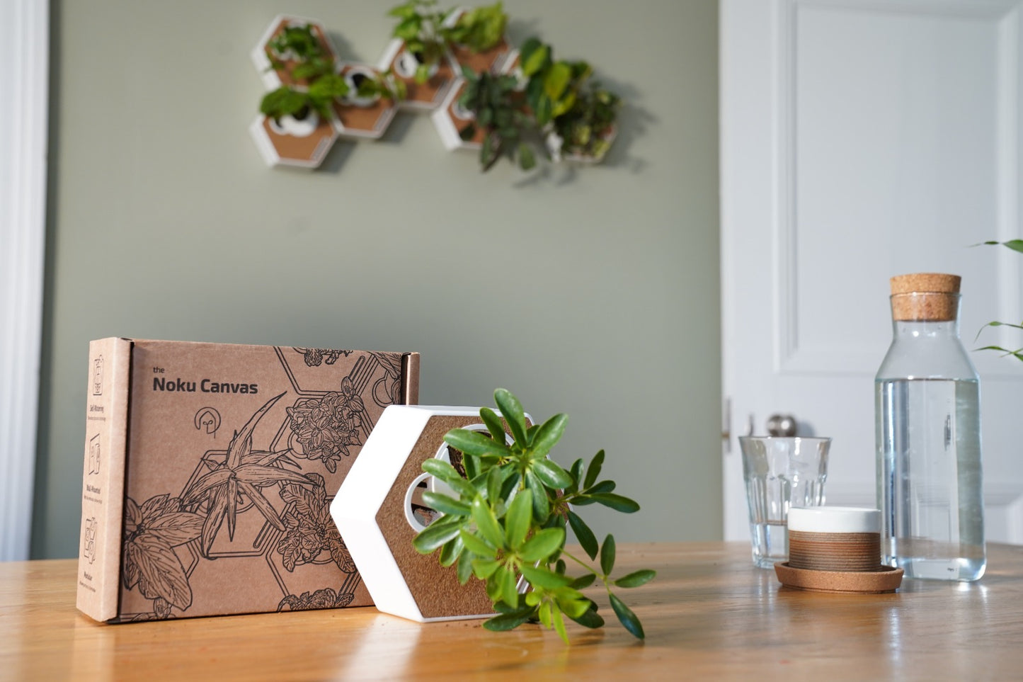 Noku Canvas